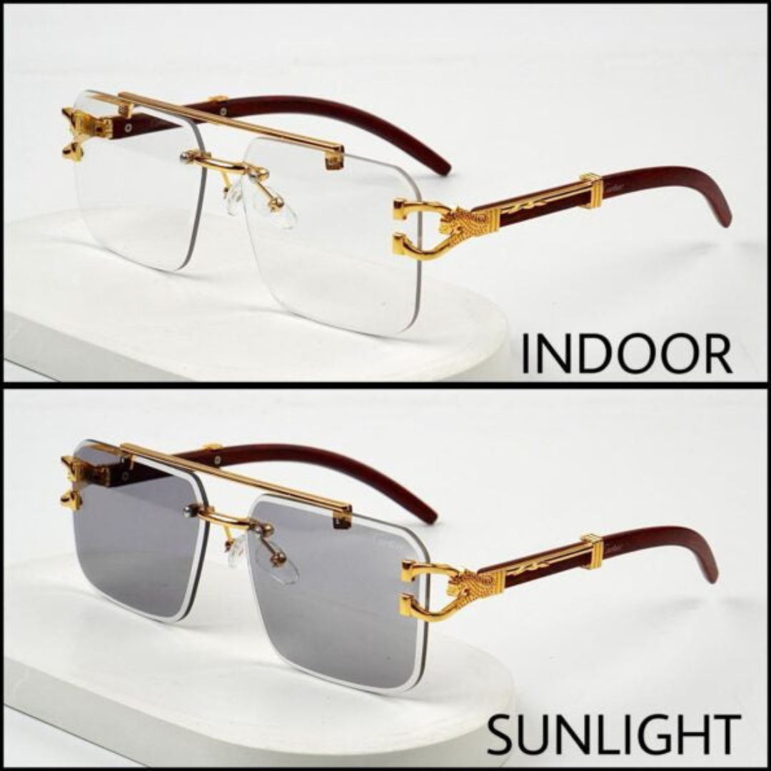 🕶️ Transition Rimless Cheetah Sunglasses A028